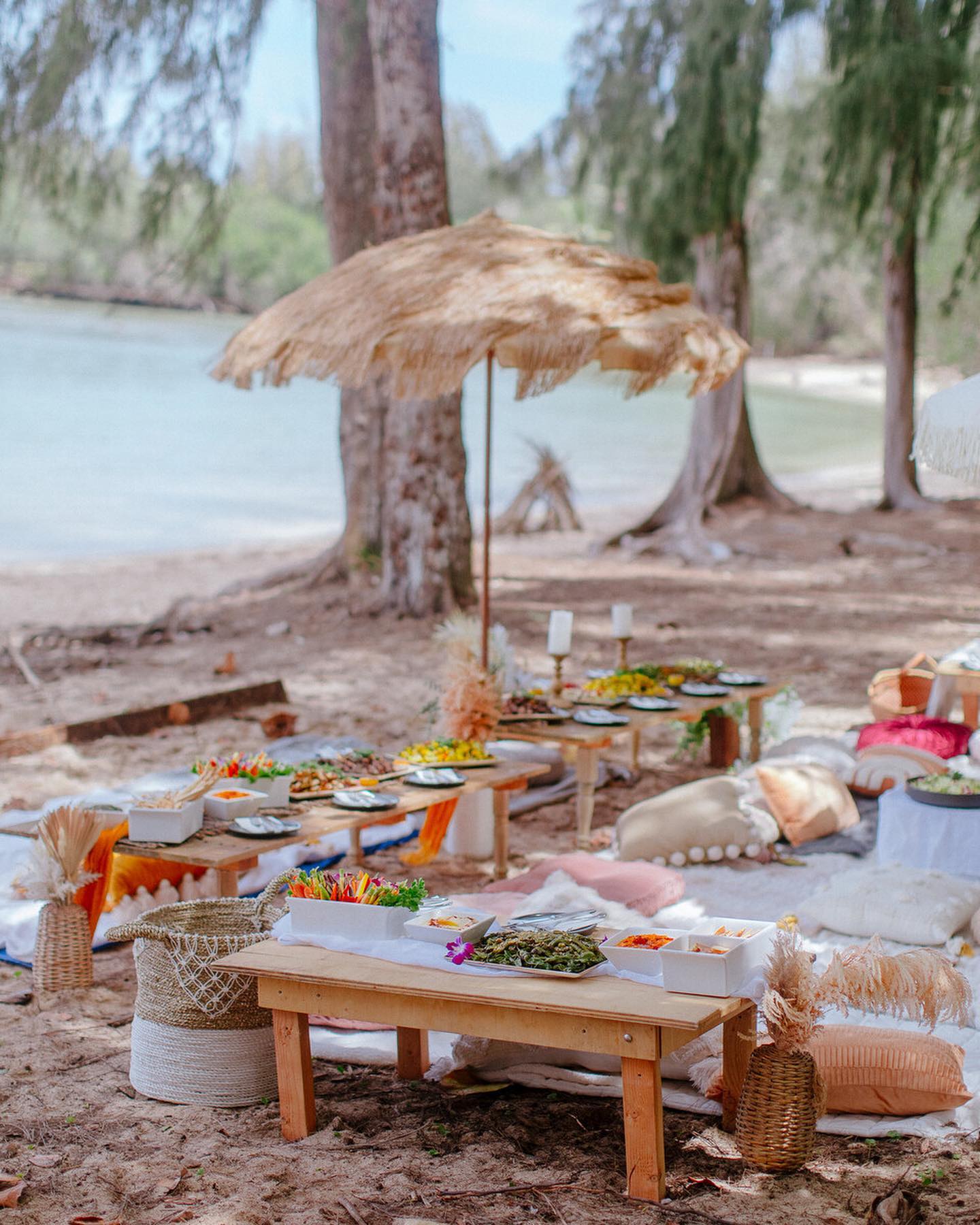 PICNIC EN LA PLAYA