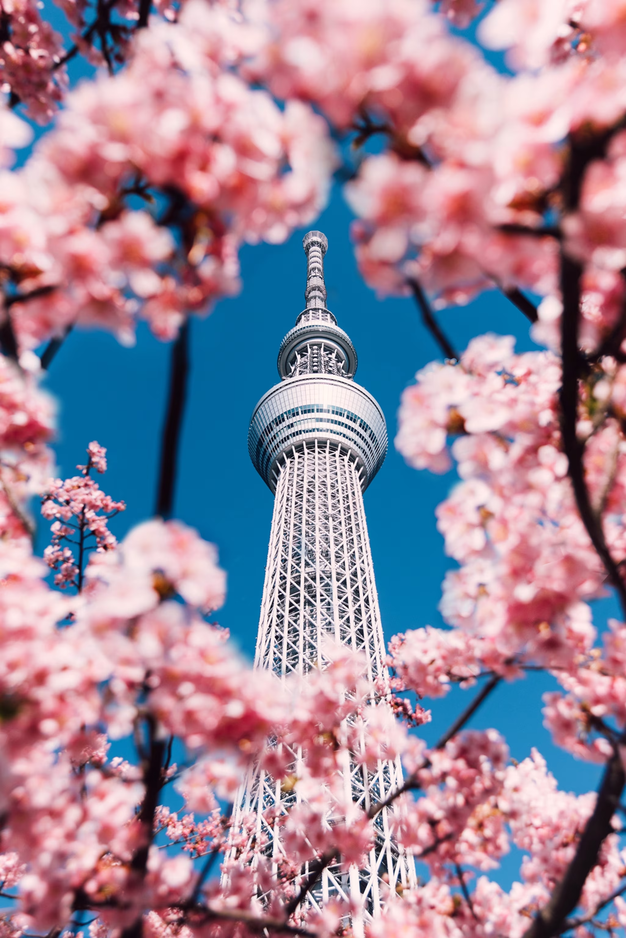 SKYTREE EN TOKIO