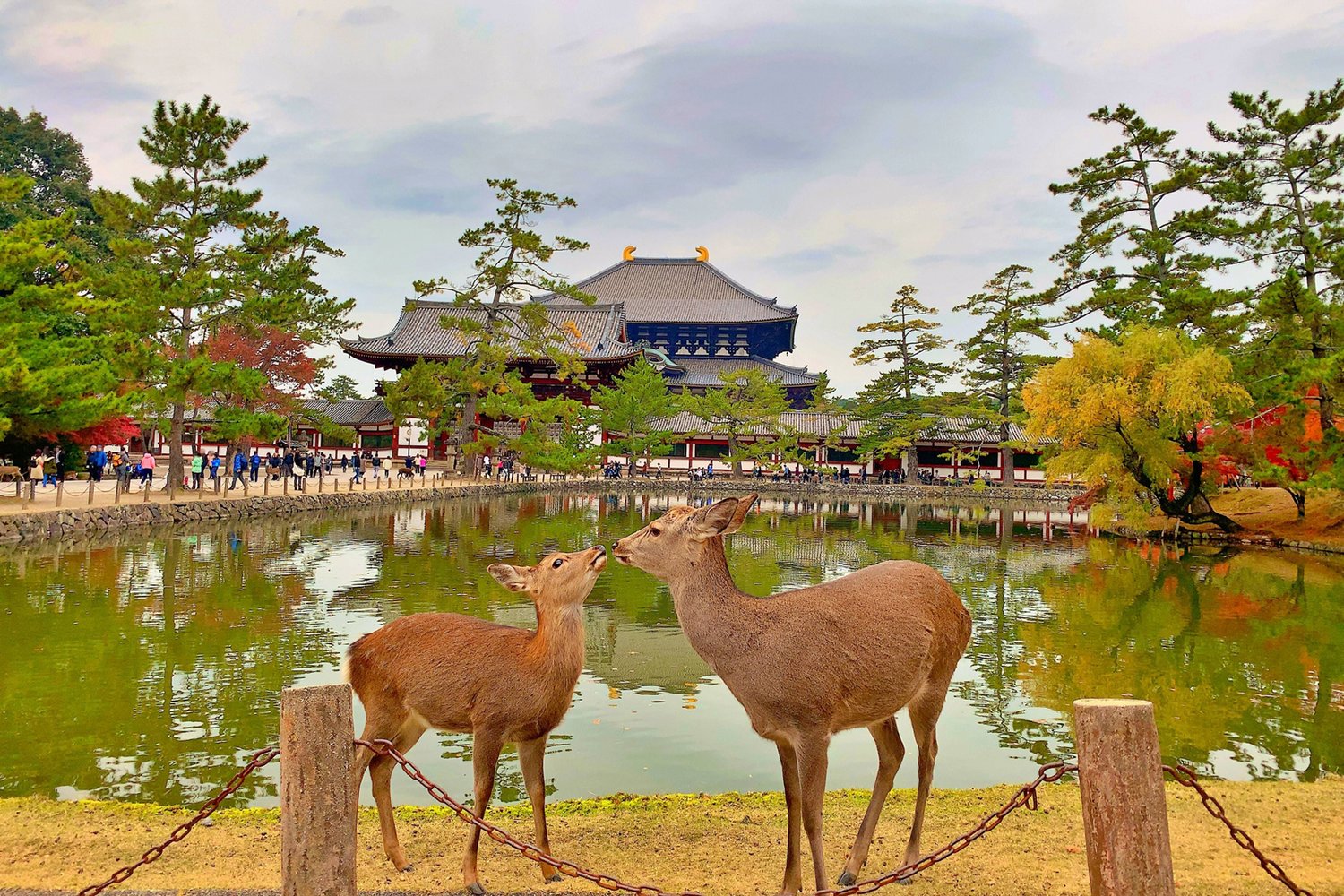 EXCURSIÓN A NARA