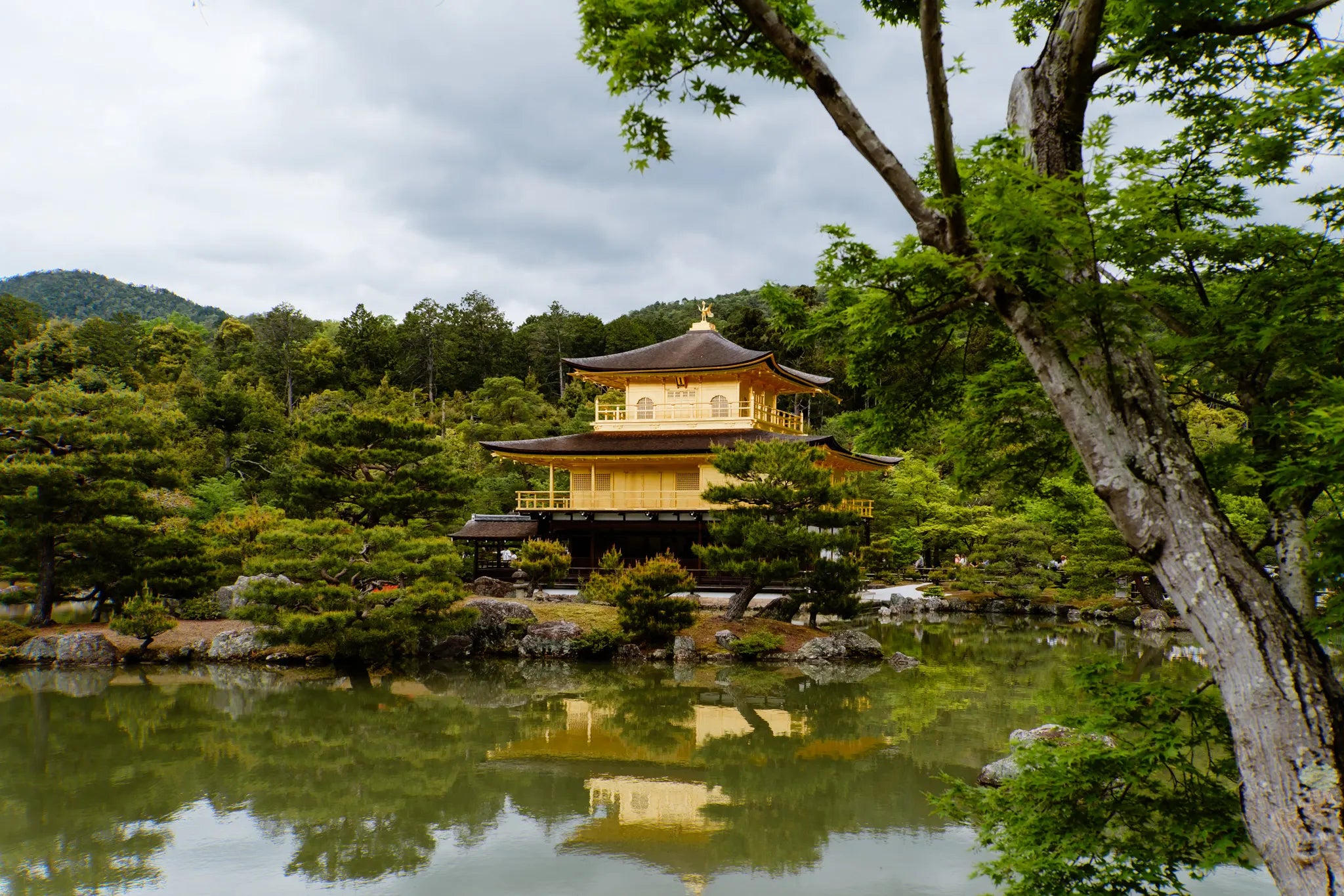 VISITA CON GUÍA A LOS TEMPLOS DE KIOTO